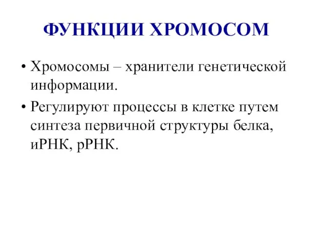 ФУНКЦИИ ХРОМОСОМ Хромосомы – хранители генетической информации. Регулируют процессы в клетке