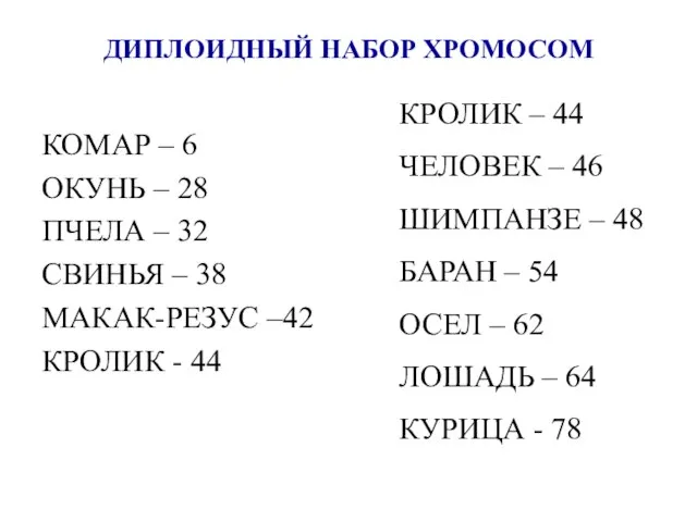 ДИПЛОИДНЫЙ НАБОР ХРОМОСОМ КОМАР – 6 ОКУНЬ – 28 ПЧЕЛА –