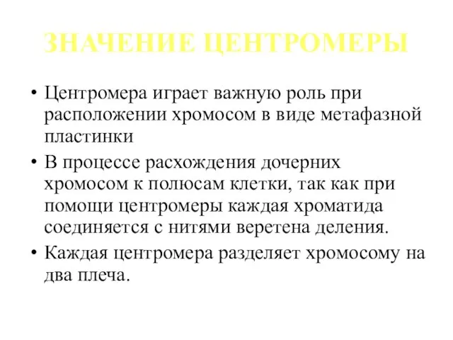 ЗНАЧЕНИЕ ЦЕНТРОМЕРЫ Центромера играет важную роль при расположении хромосом в виде