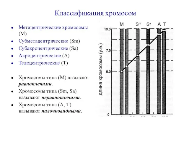 Классификация хромосом Метацентрические хромосомы (М) Субметацентрические (Sm) Субакроцентрические (Sа) Акроцентрические (А)