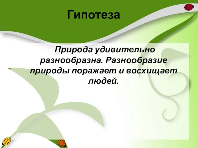 Гипотеза Природа удивительно разнообразна. Разнообразие природы поражает и восхищает людей.