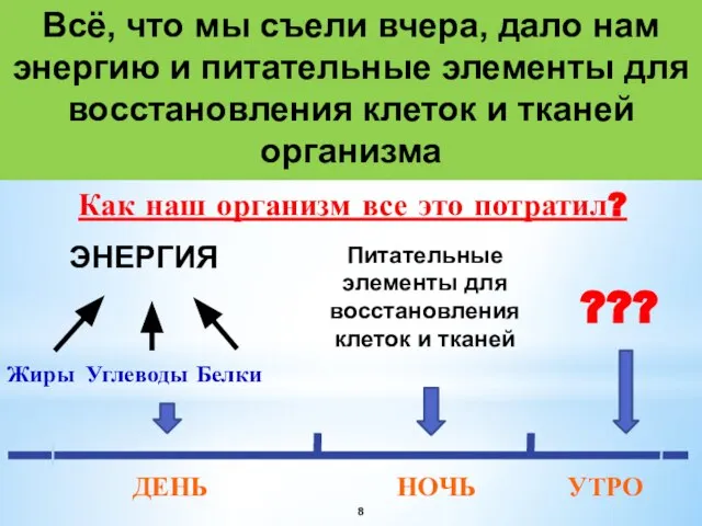 Всё, что мы съели вчера, дало нам энергию и питательные элементы