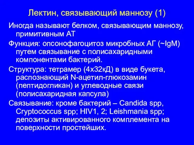 Лектин, связывающий маннозу (1) Иногда называют белком, связывающим маннозу, примитивным АТ