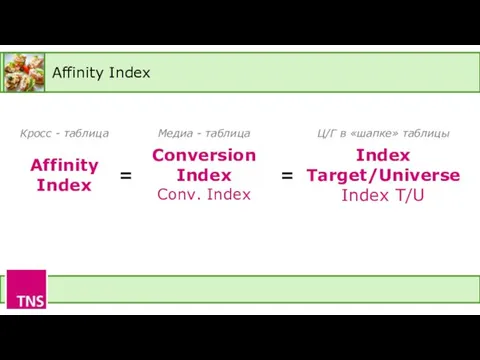 Affinity Index Affinity Index Conversion Index Conv. Index Index Target/Universe Index