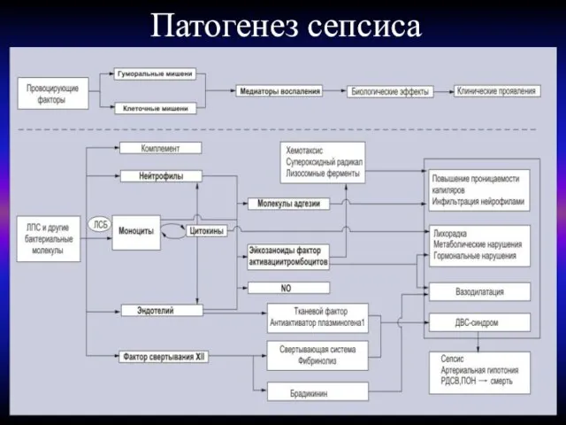 Патогенез сепсиса