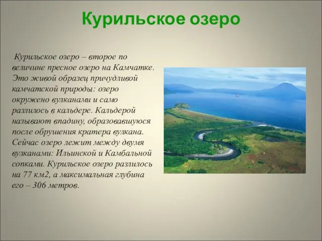 Курильское озеро Курильское озеро – второе по величине пресное озеро на