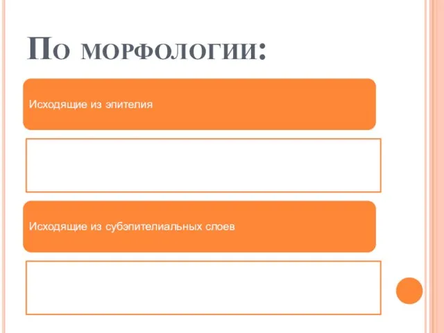 По морфологии: Исходящие из эпителия Исходящие из субэпителиальных слоев