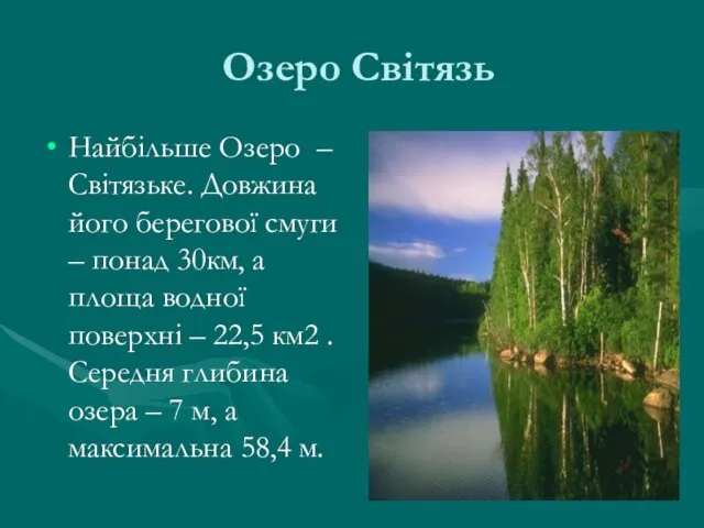 Озеро Світязь Найбільше Озеро – Світязьке. Довжина його берегової смуги –