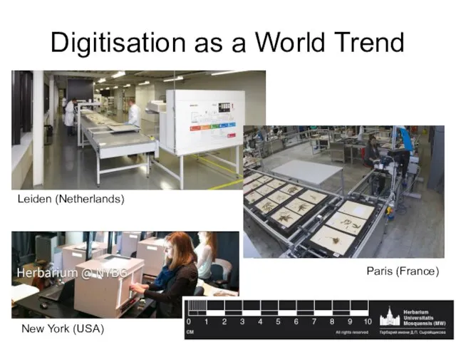 Digitisation as a World Trend Leiden (Netherlands) Paris (France) New York (USA)