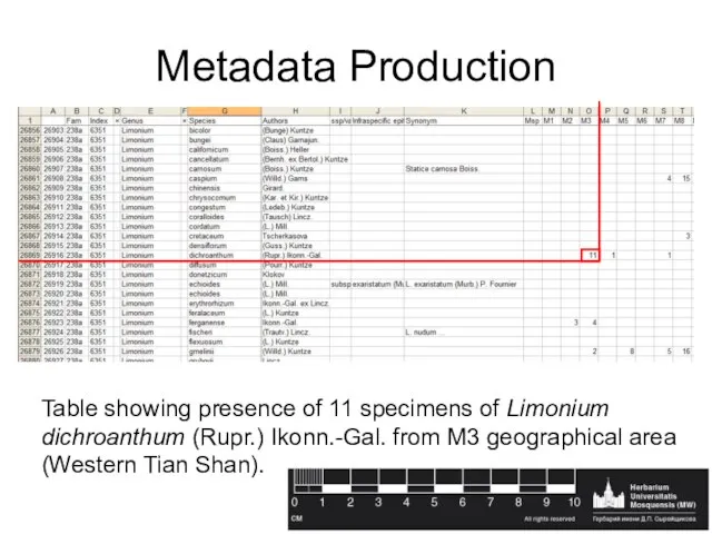 Metadata Production Table showing presence of 11 specimens of Limonium dichroanthum