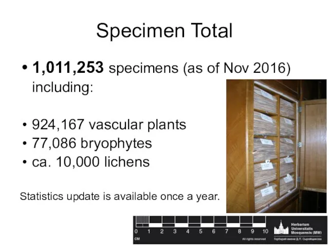 Specimen Total 1,011,253 specimens (as of Nov 2016) including: 924,167 vascular