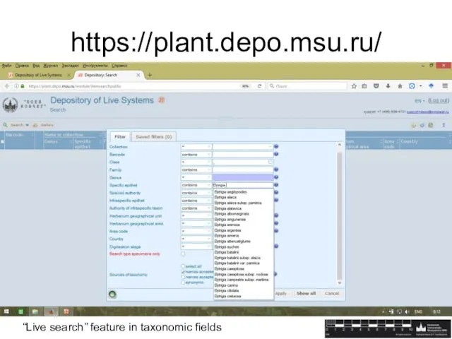 https://plant.depo.msu.ru/ “Live search” feature in taxonomic fields
