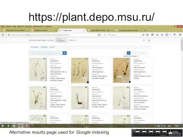 https://plant.depo.msu.ru/ Alternative results page used for Google indexing