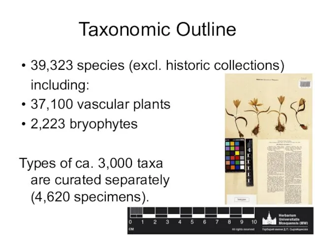 Taxonomic Outline 39,323 species (excl. historic collections) including: 37,100 vascular plants