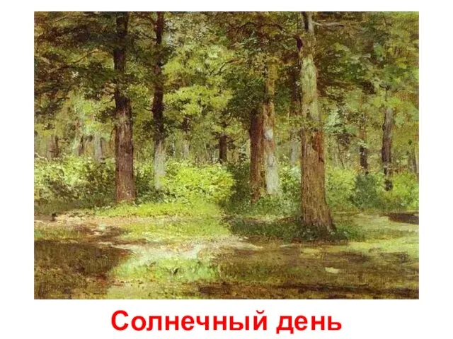 Солнечный день