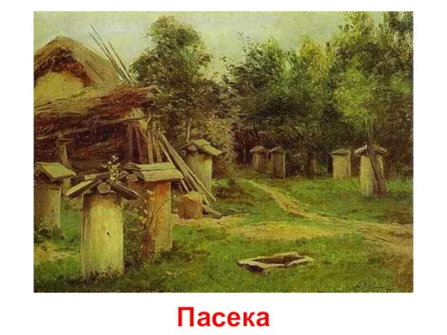 Пасека