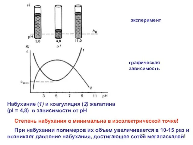 Степень набухания α минимальна в изоэлектрической точке! Набухание (1) и коагуляция