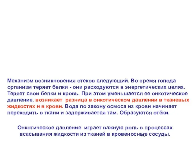 Механизм возникновения отеков следующий. Во время голода организм теряет белки -