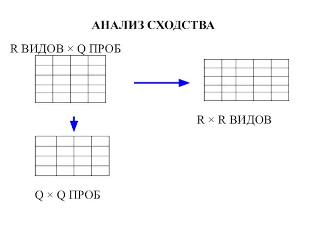 АНАЛИЗ СХОДСТВА