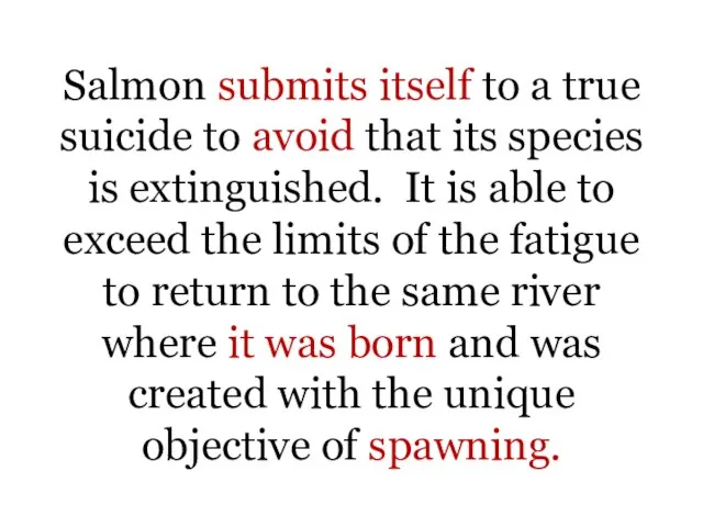 Salmon submits itself to a true suicide to avoid that its