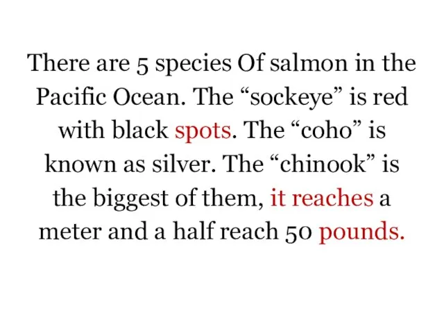 There are 5 species Of salmon in the Pacific Ocean. The