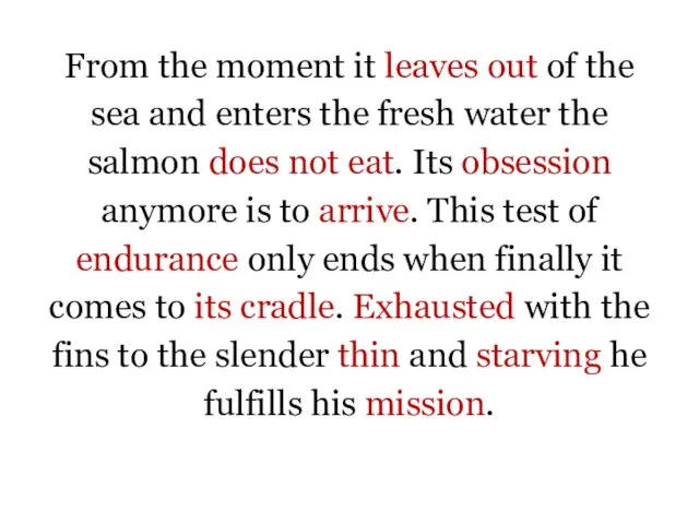 From the moment it leaves out of the sea and enters