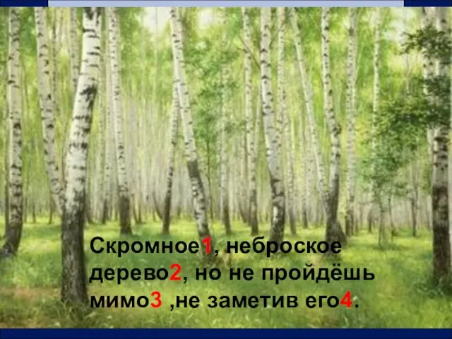 Скромное1, неброское дерево2, но не пройдёшь мимо3 ,не заметив его4.