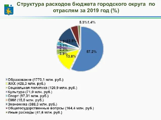 Структура расходов бюджета городского округа по отраслям за 2019 год (%)