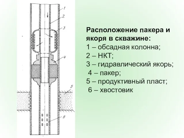 Расположение пакера и якоря в скважине: 1 – обсадная колонна; 2