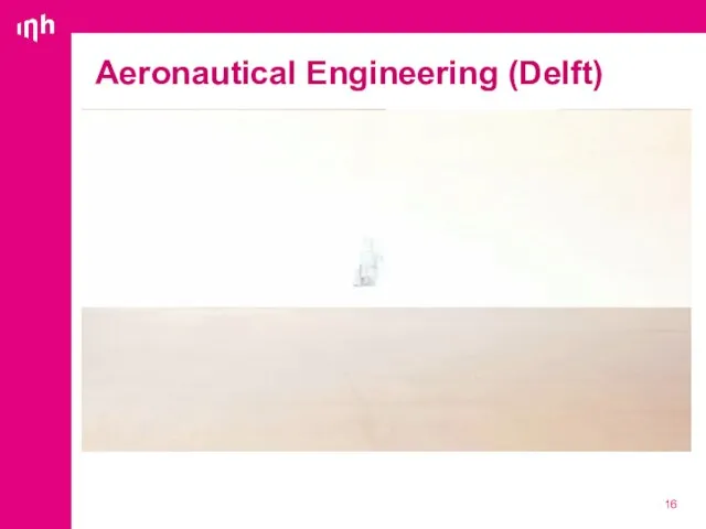 Aeronautical Engineering (Delft)