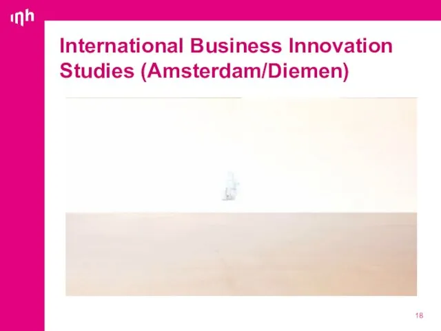 International Business Innovation Studies (Amsterdam/Diemen)
