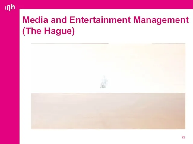 Media and Entertainment Management (The Hague)