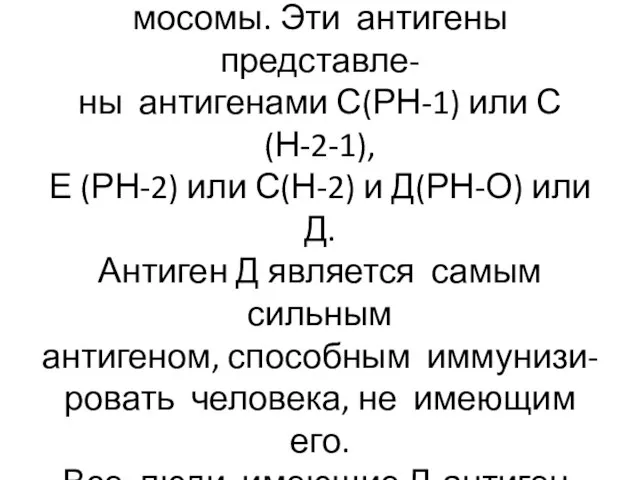 Синтез Р –Н-2 антигенов эритроци- тов контролируется генами 1 хро- мосомы.