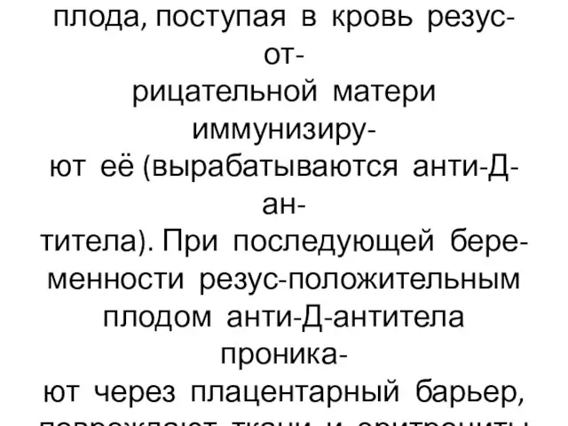 Эритроциты резус-положительного плода, поступая в кровь резус- от- рицательной матери иммунизиру-