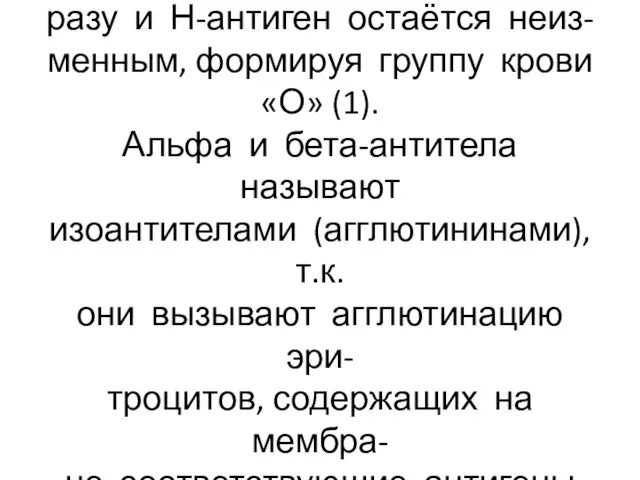 Ген «О» не контролирует трансфе- разу и Н-антиген остаётся неиз- менным,