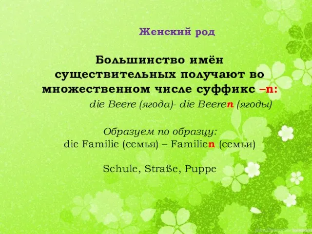 Женский род Большинство имён существительных получают во множественном числе суффикс –n: