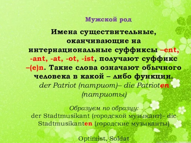 Имена существительные, оканчивающие на интернациональные суффиксы –ent, -ant, -at, -ot, -ist,