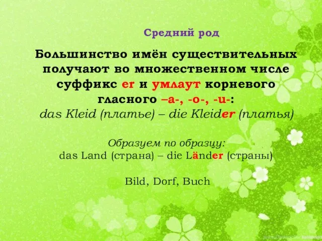 Большинство имён существительных получают во множественном числе суффикс er и умлаут