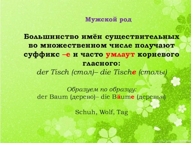 Большинство имён существительных во множественном числе получают суффикс –е и часто