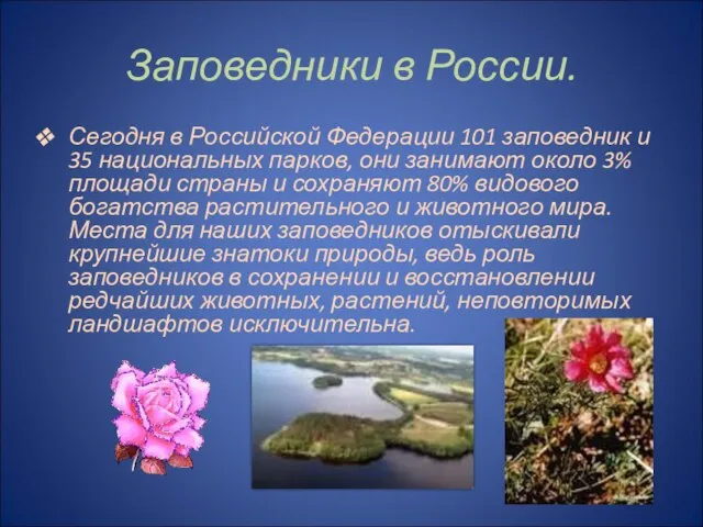 Заповедники в России. Сегодня в Российской Федерации 101 заповедник и 35