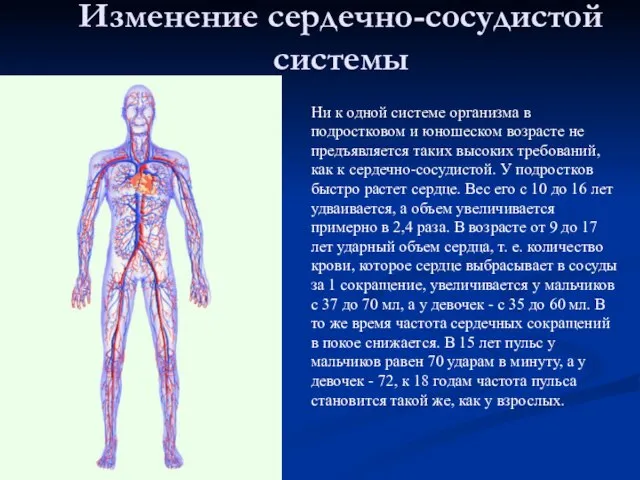 Изменение сердечно-сосудистой системы Ни к одной системе организма в подростковом и