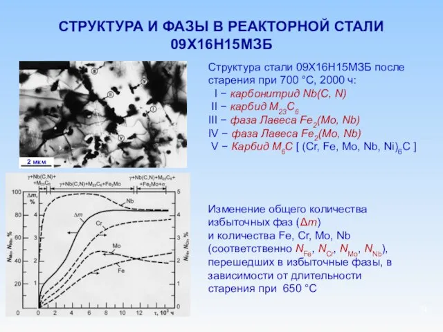 СТРУКТУРА И ФАЗЫ В РЕАКТОРНОЙ СТАЛИ 09Х16Н15МЗБ Структура стали 09Х16Н15МЗБ после