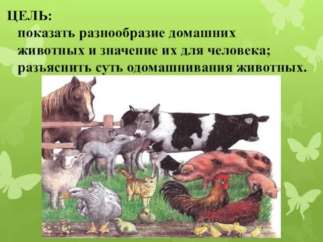 ЦЕЛЬ: показать разнообразие домашних животных и значение их для человека; разъяснить суть одомашнивания животных.