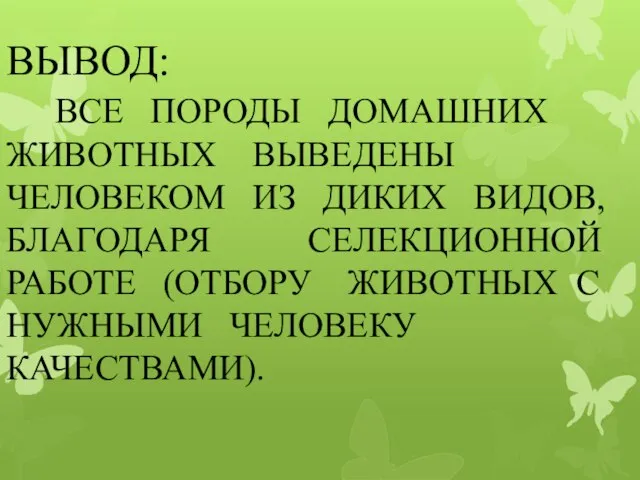 ВЫВОД: ВСЕ ПОРОДЫ ДОМАШНИХ ЖИВОТНЫХ ВЫВЕДЕНЫ ЧЕЛОВЕКОМ ИЗ ДИКИХ ВИДОВ, БЛАГОДАРЯ