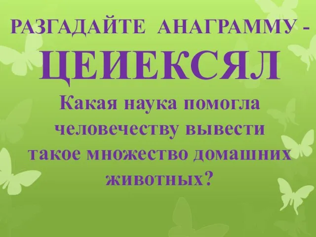 РАЗГАДАЙТЕ АНАГРАММУ - ЦЕИЕКСЯЛ Какая наука помогла человечеству вывести такое множество домашних животных?