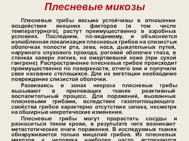 Плесневые микозы Плесневые грибы весьма устойчивы в отношении воздействия внешних факторов