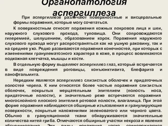 Органопатология аспергиллеза При аспергиллезе различают поверхностные и висцеральные формы поражения, которые