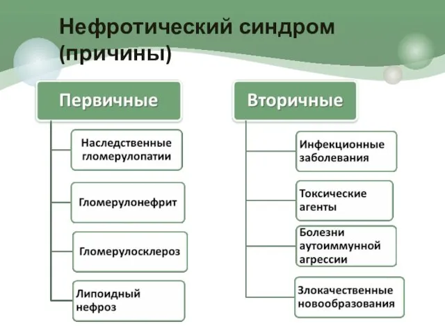 Нефротический синдром (причины)