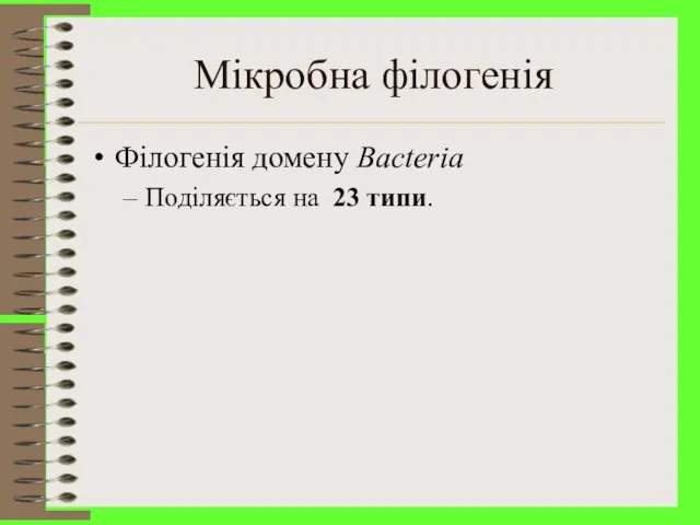 Мікробна філогенія Філогенія домену Bacteria Поділяється на 23 типи.