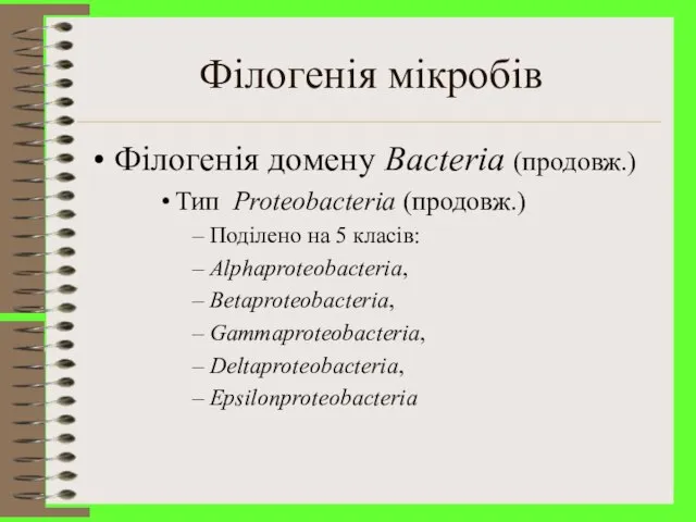 Філогенія мікробів Філогенія домену Bacteria (продовж.) Тип Proteobacteria (продовж.) Поділено на